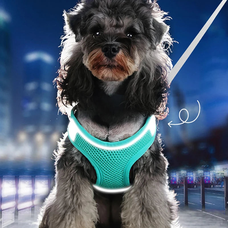 Reflective Adjustable Pet Harness Vest Set - Breathable, Comfortable Fit for Small to Medium Dogs and Cats - Perfect for Outdoor Walking