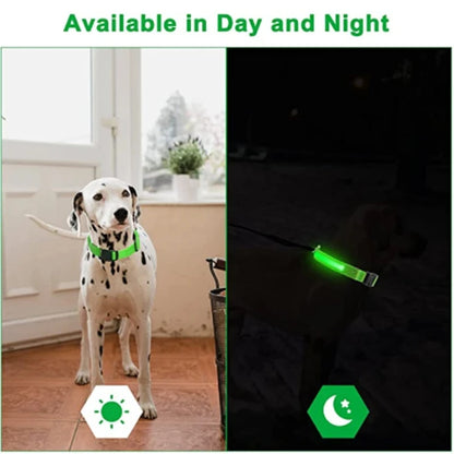 Adjustable LED Nylon Dog Collar - Flashing, Glowing, Luminous Light Harness for Night Safety - Perfect for Small Dogs