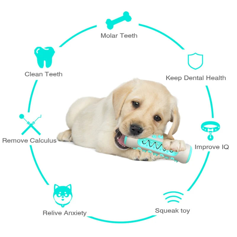 Soft Dog Molar Toothbrush Toy - Safe Chew and Dental Cleaning for Puppies and Dogs