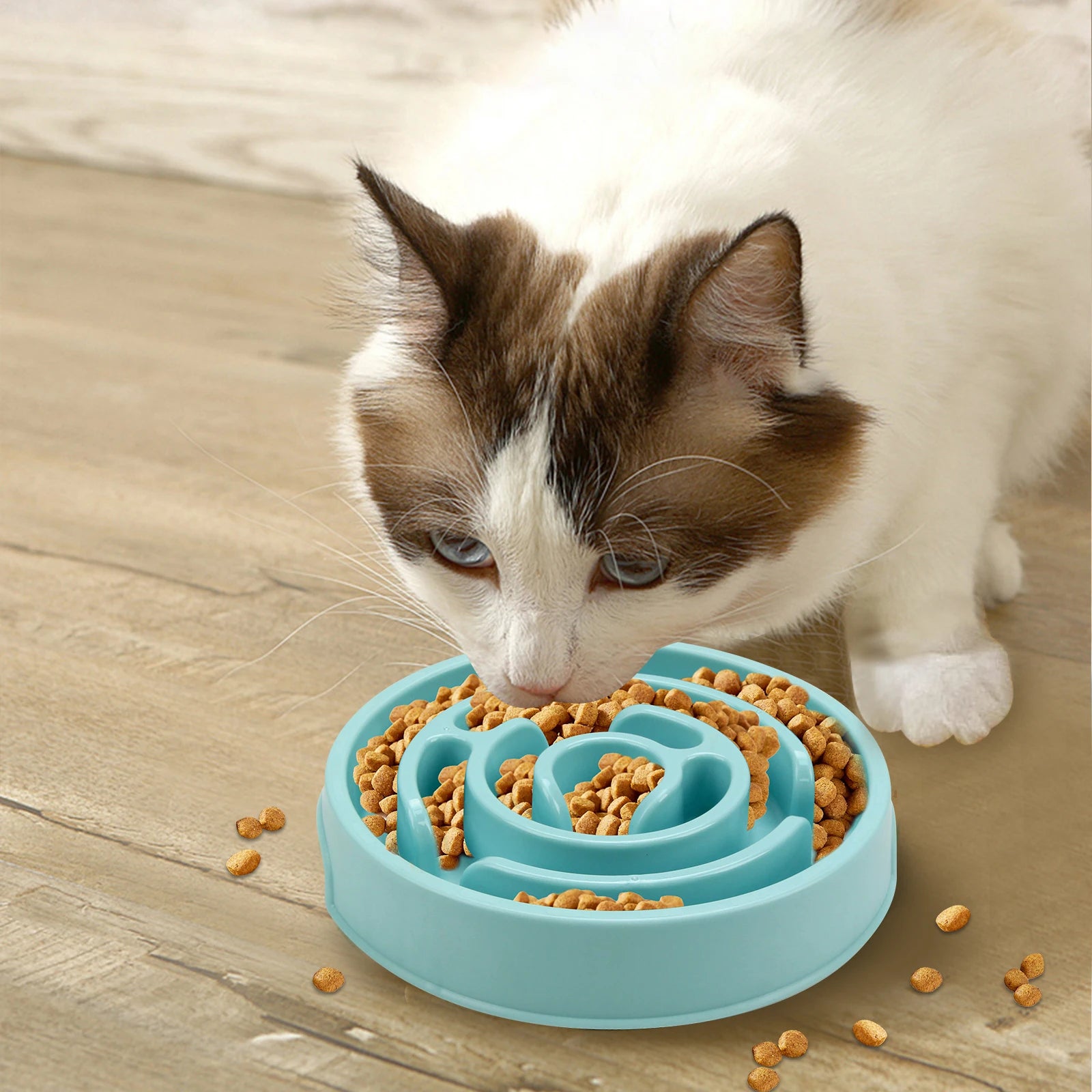 Fun Non-Slip Slow Feeder Bowl - Anti-Gulping Food Dish for Large, Medium, and Small Dogs