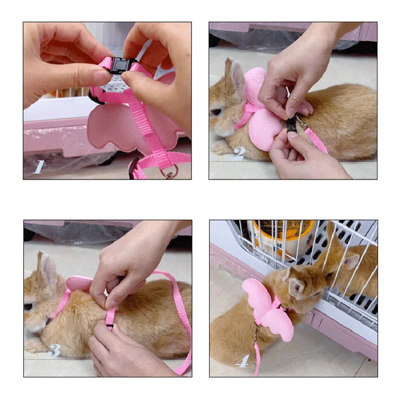 Cute Angel Wing Pet Harness and Leash for Cats Rabbits