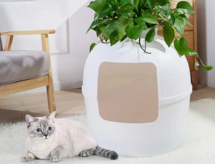 Semi Enclosed Cat Litter Box with Large Space for Ventilation