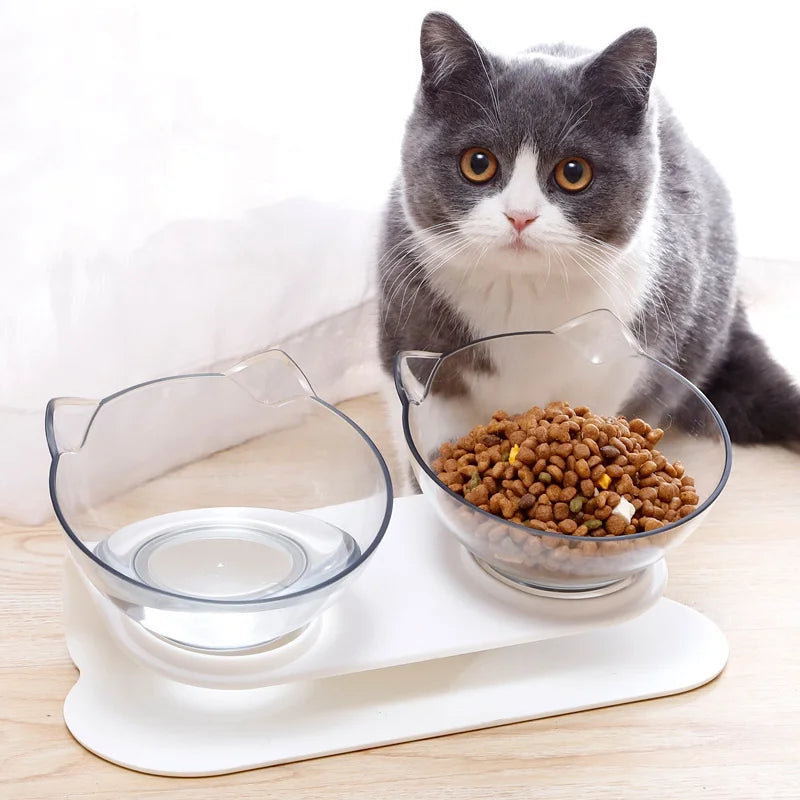 Non-Slip Double Cat Bowl With Inclination Stand