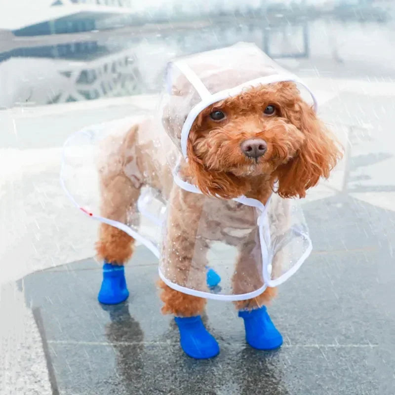 Clear Waterproof Pet Raincoat - Rain Jacket for Small and Medium Dogs, Teddy, Shiba, and More