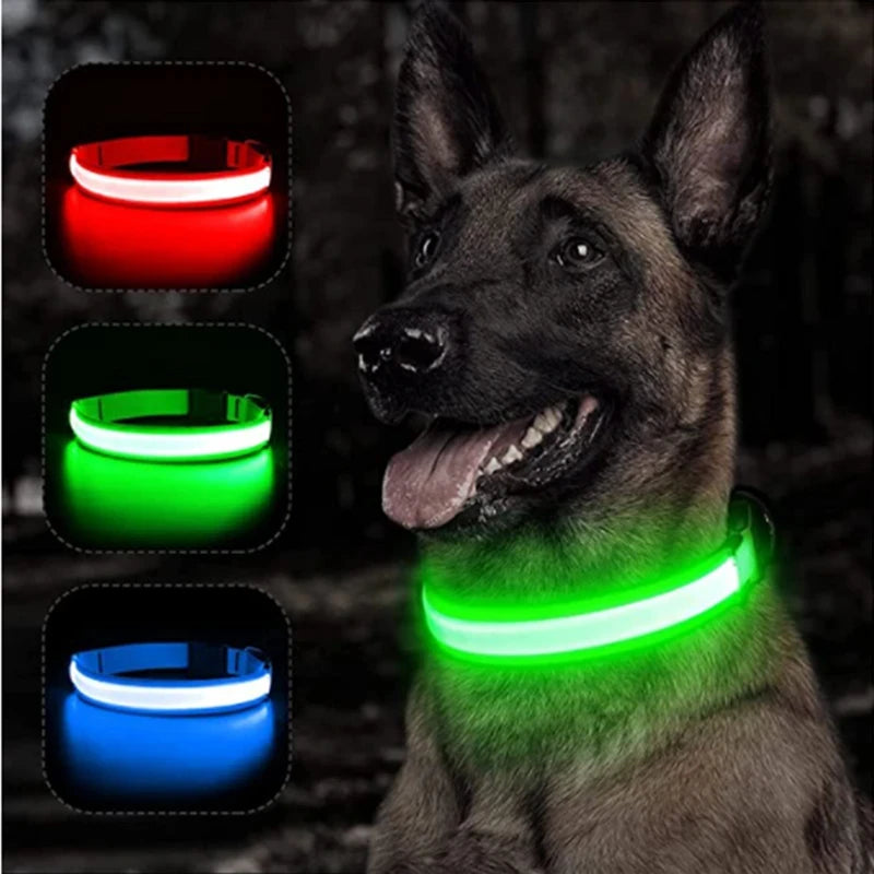 Adjustable LED Nylon Dog Collar - Flashing, Glowing, Luminous Light Harness for Night Safety - Perfect for Small Dogs