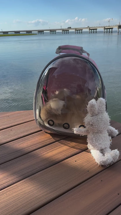 Pet Carrying Backpack with Transparent Ventilated Bubble