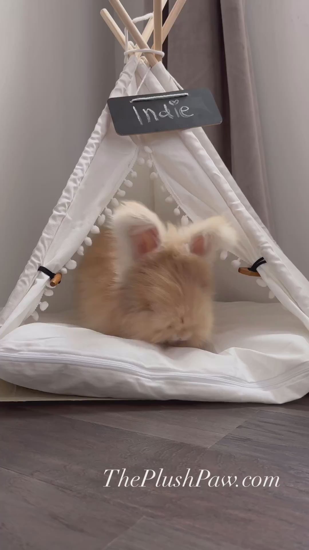 Portable Teepee With Thick Cushion Pet Tent House Cat Bed